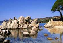 包含字母哥重返赛场，反败为胜首场状态出色，TL观众沸腾！全场沸腾不已的词条